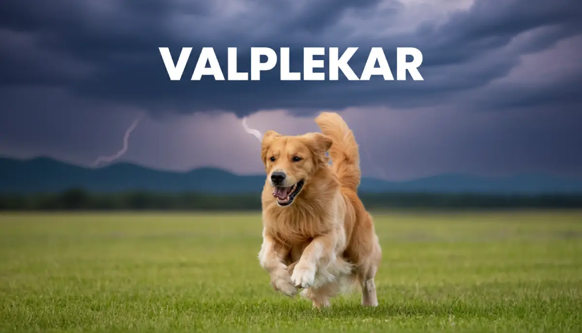 Valplekar