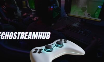 Echostreamhub