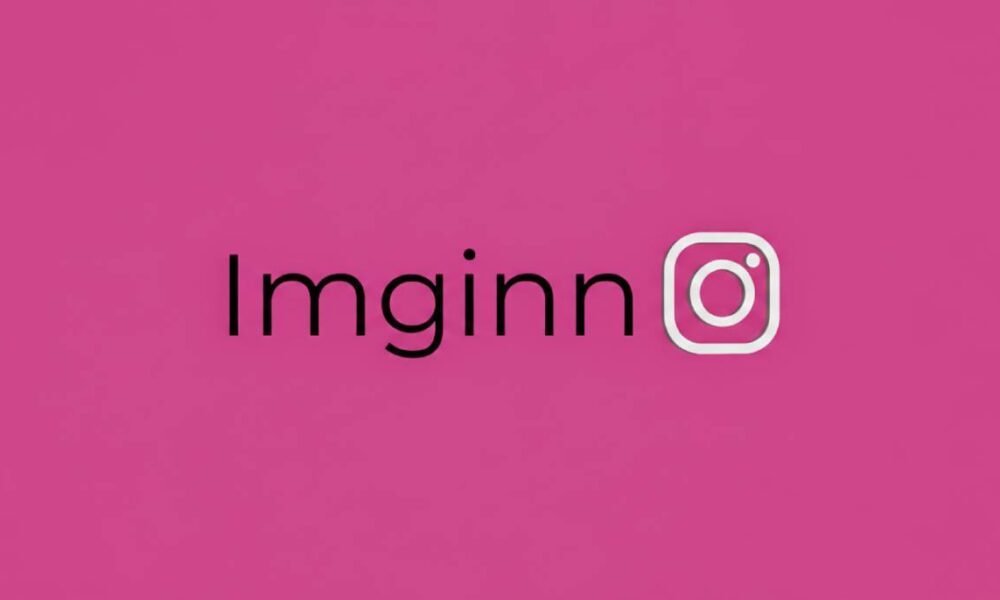 Imginn Instagram