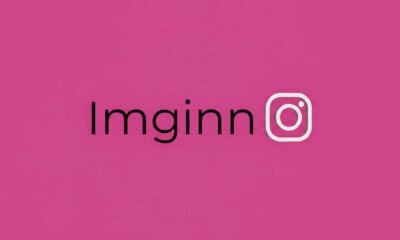 Imginn Instagram