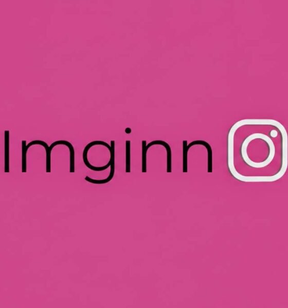 Imginn Instagram