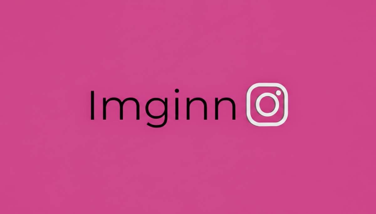 Imginn Instagram