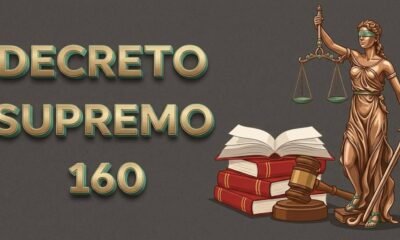 Decreto Supremo 160
