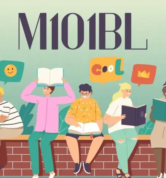 M101bl
