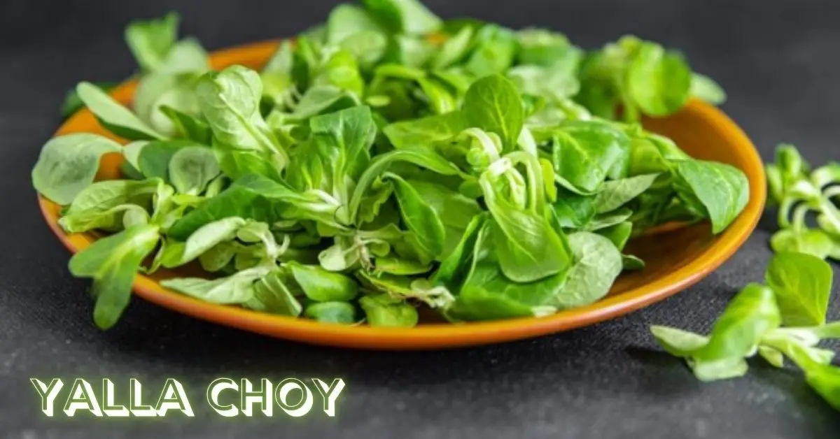 Yalla Choy