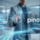 Pinaflux